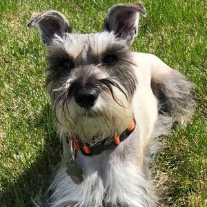 Meet your Posher, Esther